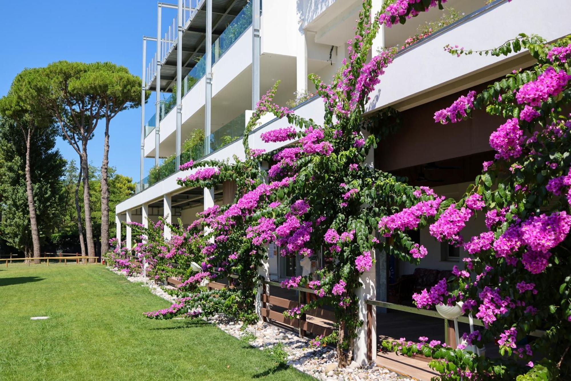 Il Tridente Hotel بيبيوني المظهر الخارجي الصورة