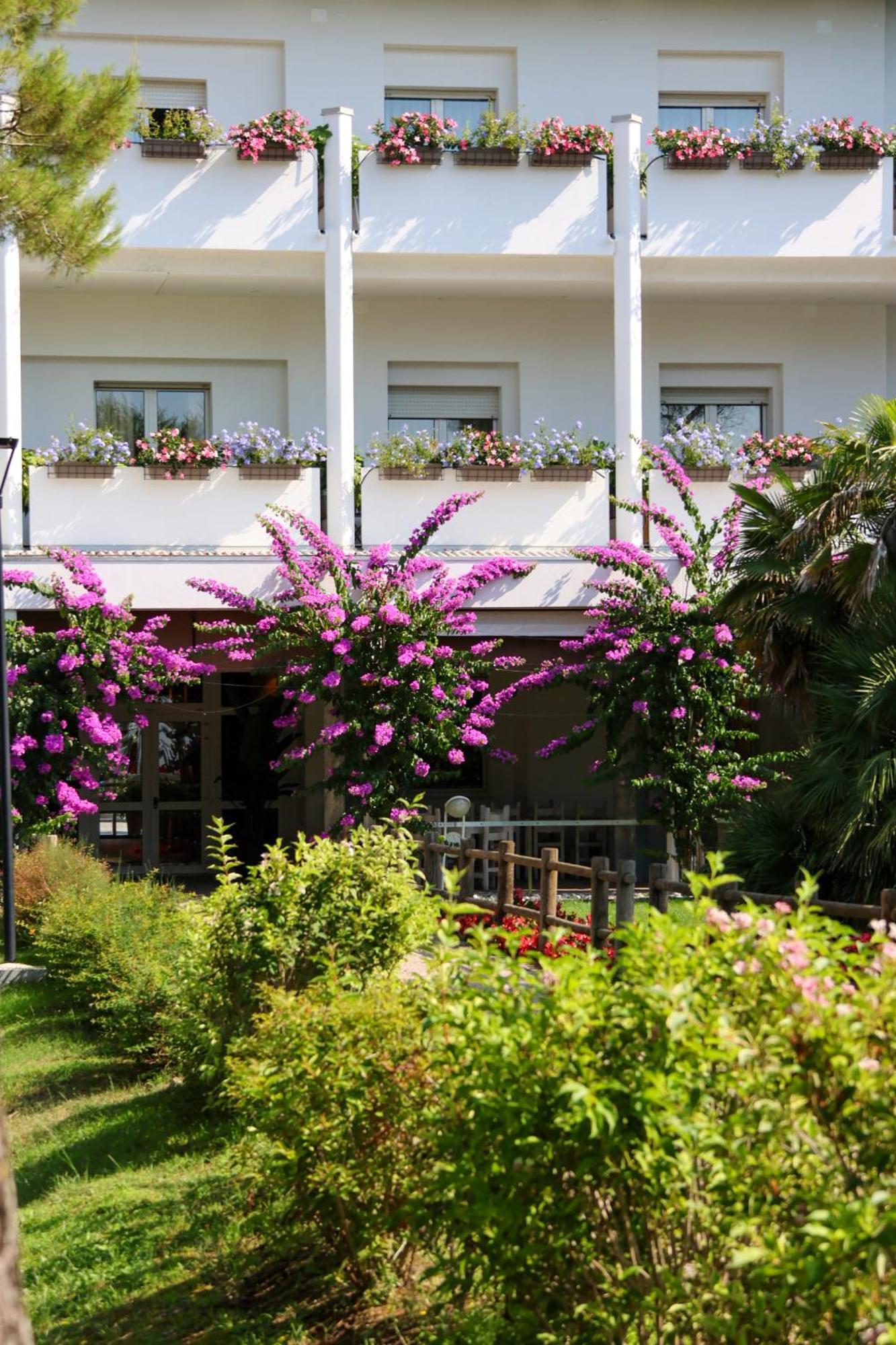 Il Tridente Hotel بيبيوني المظهر الخارجي الصورة